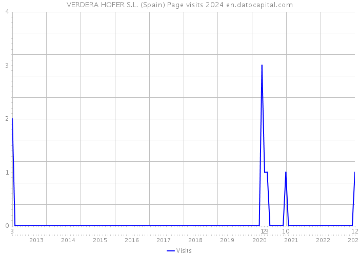 VERDERA HOFER S.L. (Spain) Page visits 2024 