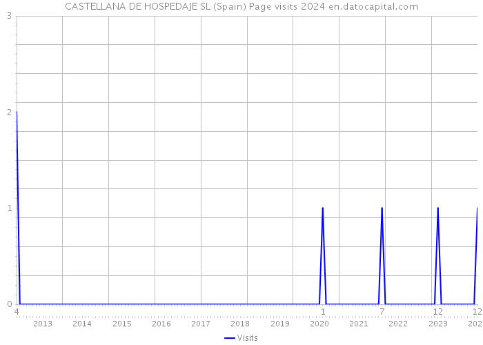 CASTELLANA DE HOSPEDAJE SL (Spain) Page visits 2024 