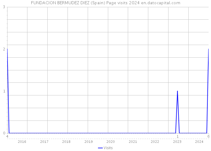 FUNDACION BERMUDEZ DIEZ (Spain) Page visits 2024 