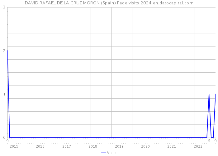 DAVID RAFAEL DE LA CRUZ MORON (Spain) Page visits 2024 