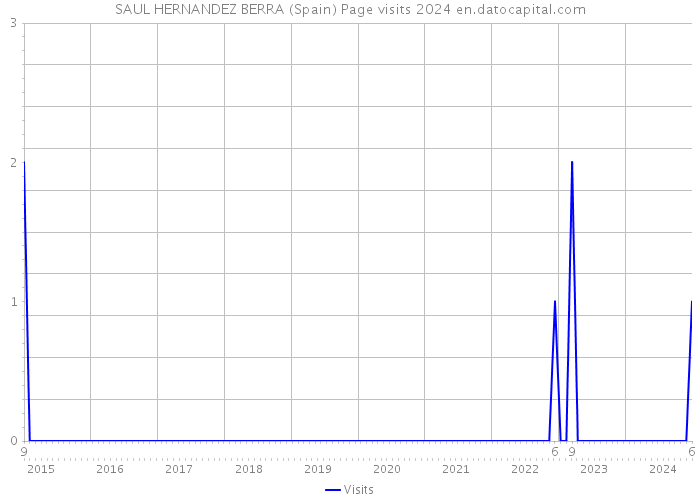 SAUL HERNANDEZ BERRA (Spain) Page visits 2024 