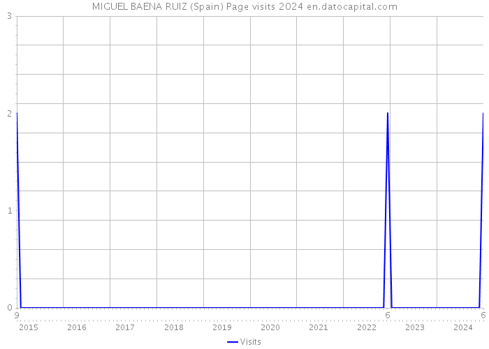 MIGUEL BAENA RUIZ (Spain) Page visits 2024 