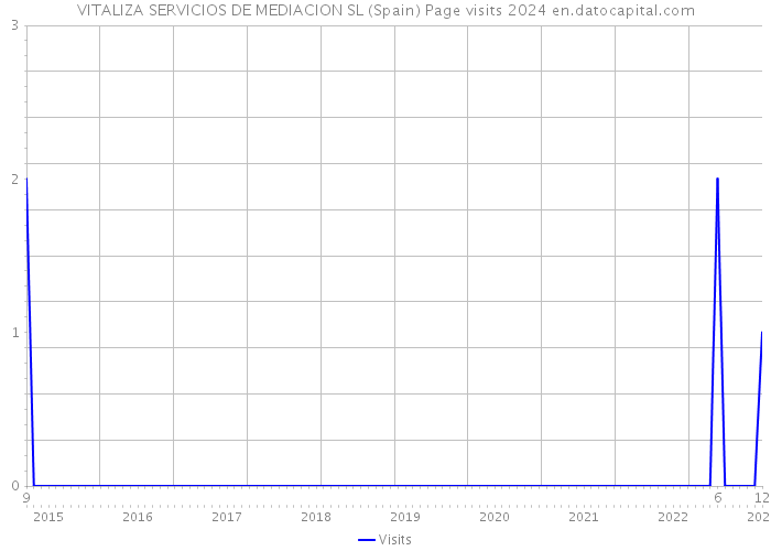 VITALIZA SERVICIOS DE MEDIACION SL (Spain) Page visits 2024 