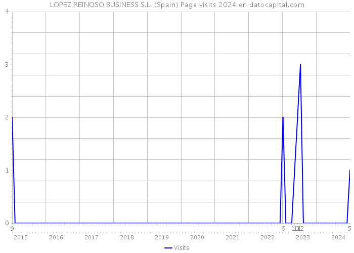 LOPEZ REINOSO BUSINESS S.L. (Spain) Page visits 2024 