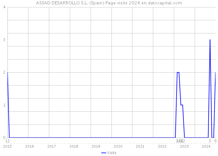 ASSAD DESARROLLO S.L. (Spain) Page visits 2024 