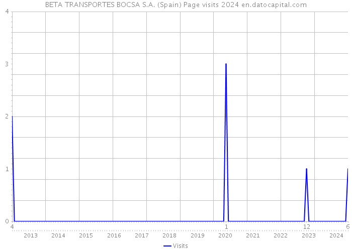 BETA TRANSPORTES BOCSA S.A. (Spain) Page visits 2024 
