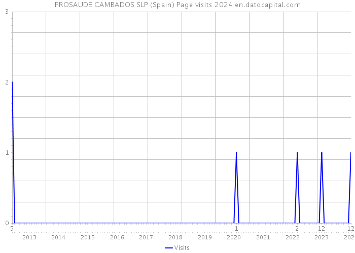 PROSAUDE CAMBADOS SLP (Spain) Page visits 2024 