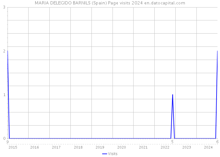 MARIA DELEGIDO BARNILS (Spain) Page visits 2024 