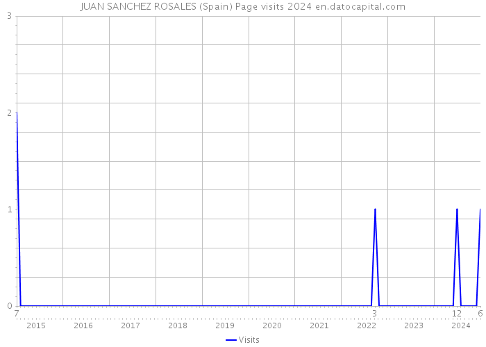 JUAN SANCHEZ ROSALES (Spain) Page visits 2024 