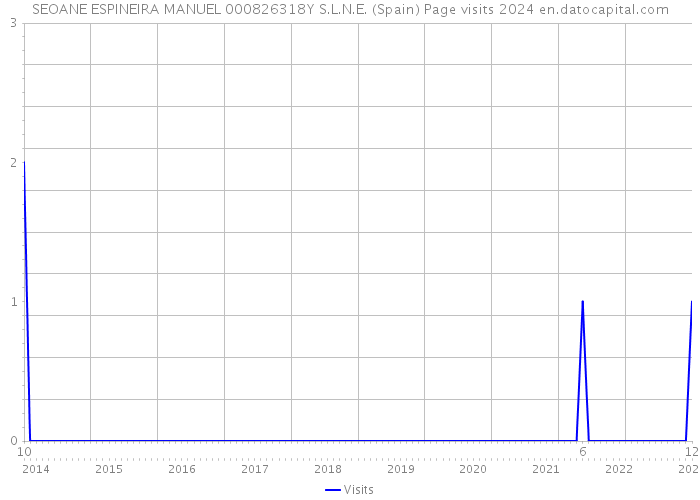 SEOANE ESPINEIRA MANUEL 000826318Y S.L.N.E. (Spain) Page visits 2024 