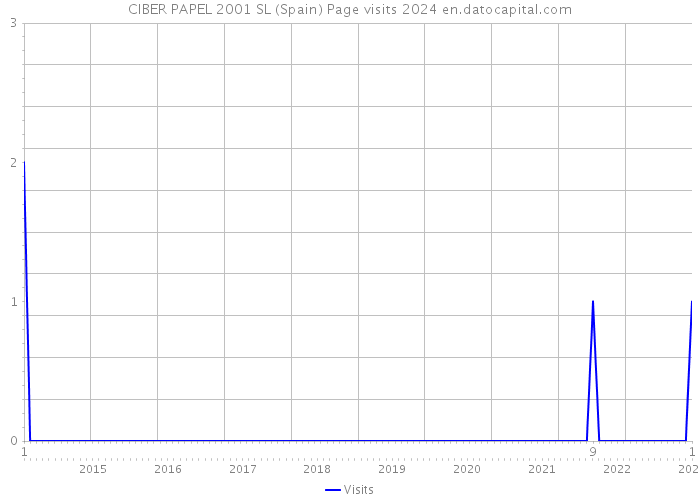 CIBER PAPEL 2001 SL (Spain) Page visits 2024 