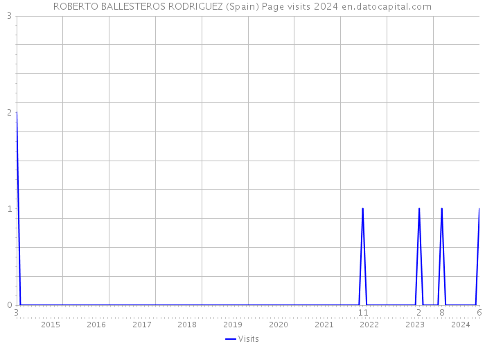 ROBERTO BALLESTEROS RODRIGUEZ (Spain) Page visits 2024 