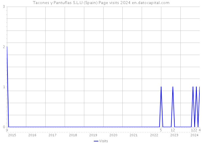 Tacones y Pantuflas S.L.U (Spain) Page visits 2024 