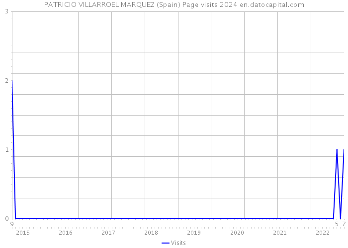 PATRICIO VILLARROEL MARQUEZ (Spain) Page visits 2024 