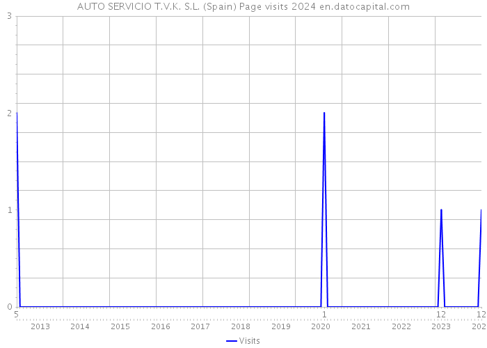AUTO SERVICIO T.V.K. S.L. (Spain) Page visits 2024 