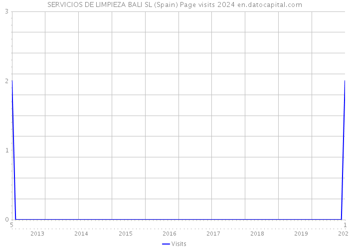 SERVICIOS DE LIMPIEZA BALI SL (Spain) Page visits 2024 
