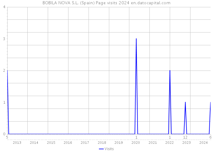 BOBILA NOVA S.L. (Spain) Page visits 2024 