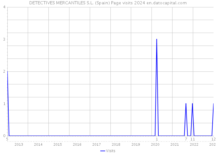 DETECTIVES MERCANTILES S.L. (Spain) Page visits 2024 