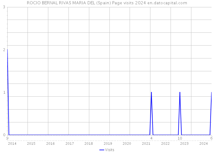 ROCIO BERNAL RIVAS MARIA DEL (Spain) Page visits 2024 