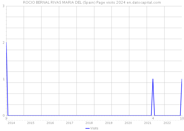 ROCIO BERNAL RIVAS MARIA DEL (Spain) Page visits 2024 