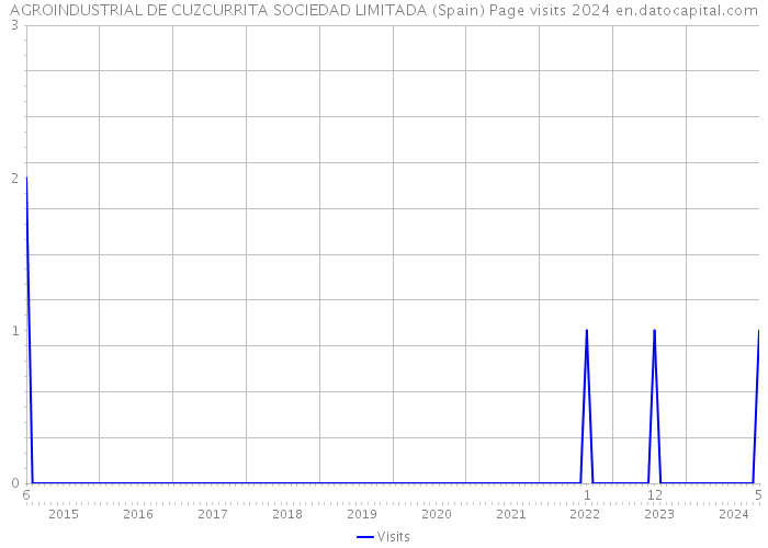 AGROINDUSTRIAL DE CUZCURRITA SOCIEDAD LIMITADA (Spain) Page visits 2024 