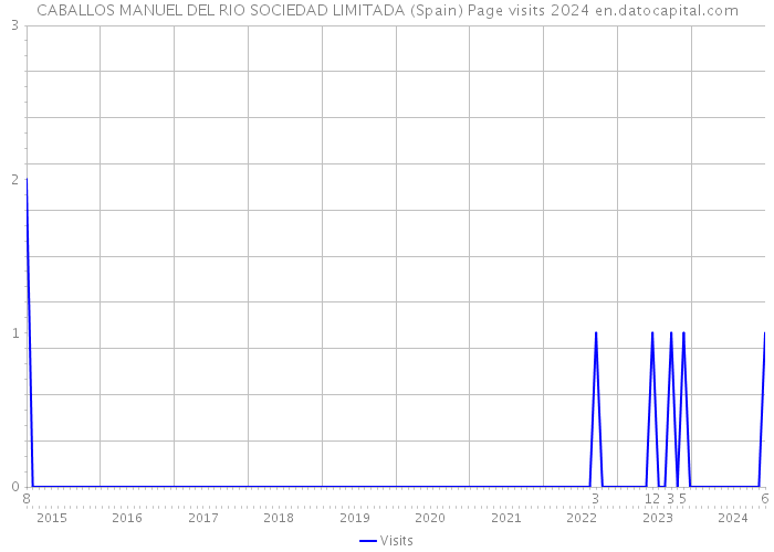 CABALLOS MANUEL DEL RIO SOCIEDAD LIMITADA (Spain) Page visits 2024 