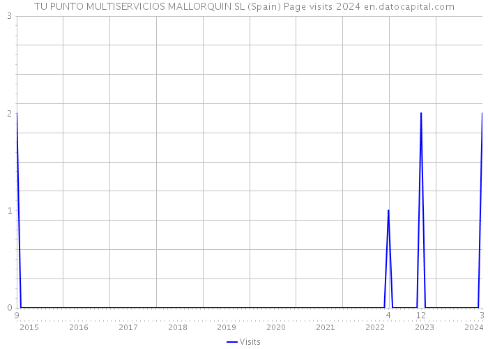 TU PUNTO MULTISERVICIOS MALLORQUIN SL (Spain) Page visits 2024 