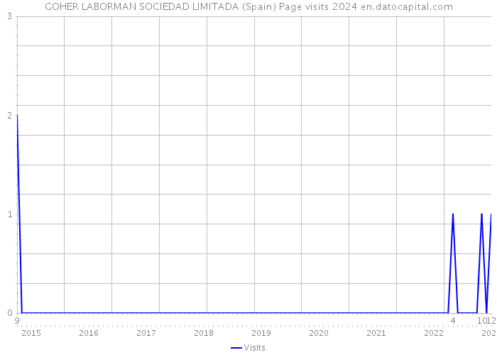 GOHER LABORMAN SOCIEDAD LIMITADA (Spain) Page visits 2024 