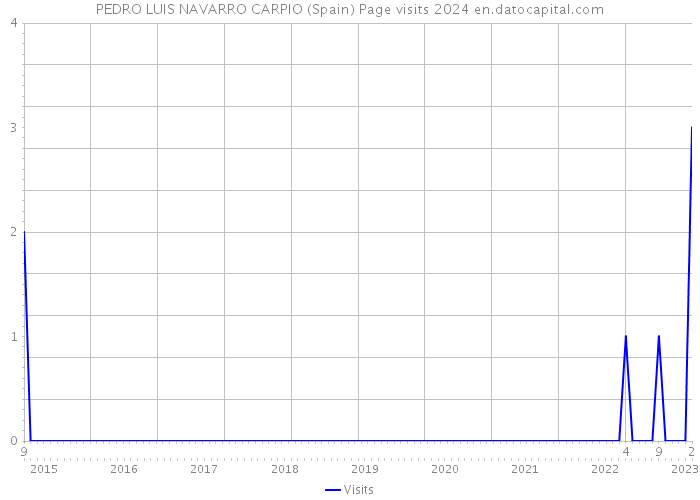 PEDRO LUIS NAVARRO CARPIO (Spain) Page visits 2024 