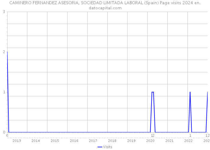 CAMINERO FERNANDEZ ASESORIA, SOCIEDAD LIMITADA LABORAL (Spain) Page visits 2024 