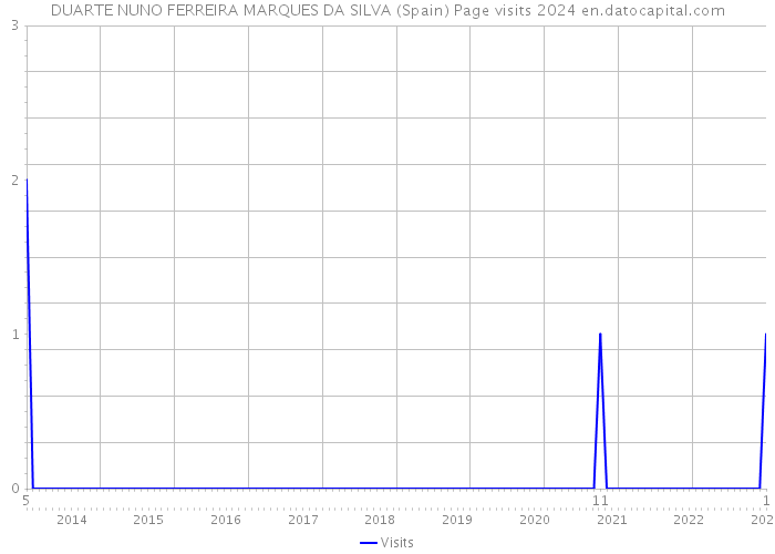 DUARTE NUNO FERREIRA MARQUES DA SILVA (Spain) Page visits 2024 