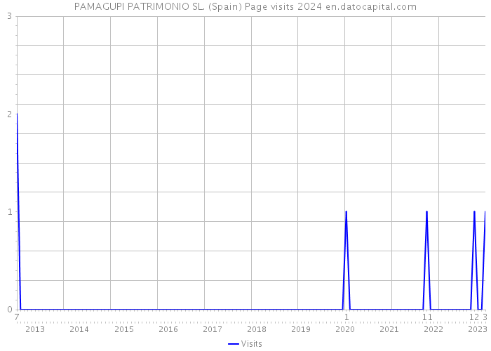 PAMAGUPI PATRIMONIO SL. (Spain) Page visits 2024 