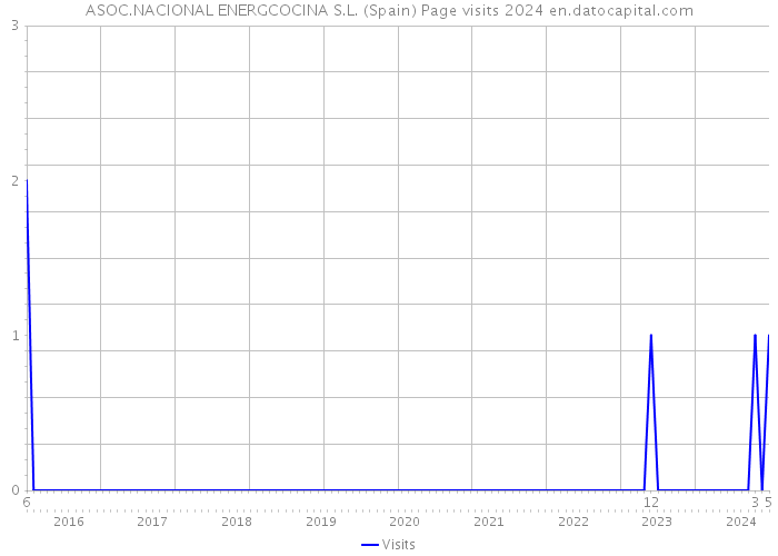 ASOC.NACIONAL ENERGCOCINA S.L. (Spain) Page visits 2024 