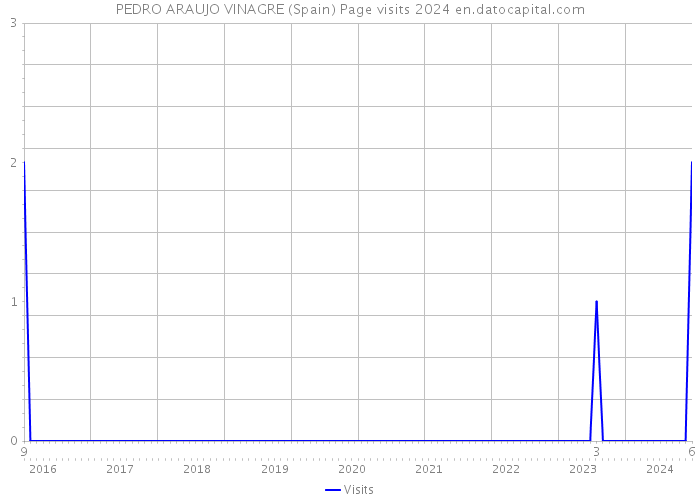 PEDRO ARAUJO VINAGRE (Spain) Page visits 2024 