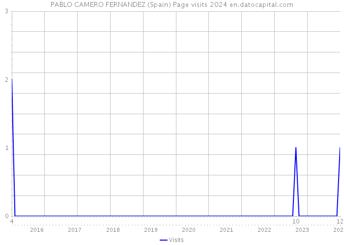 PABLO CAMERO FERNANDEZ (Spain) Page visits 2024 