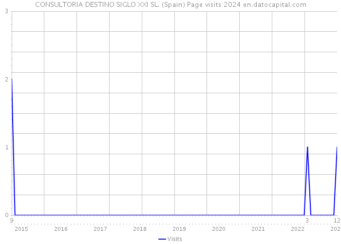CONSULTORIA DESTINO SIGLO XXI SL. (Spain) Page visits 2024 