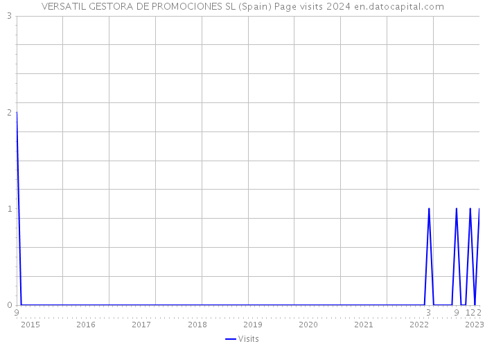 VERSATIL GESTORA DE PROMOCIONES SL (Spain) Page visits 2024 