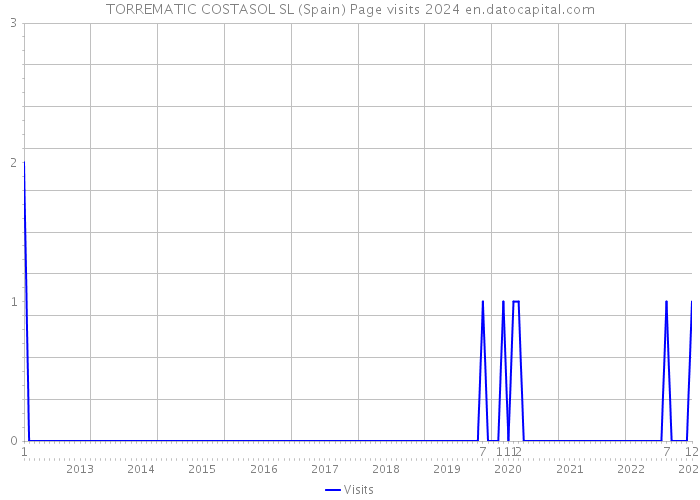 TORREMATIC COSTASOL SL (Spain) Page visits 2024 