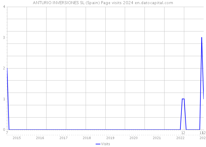 ANTURIO INVERSIONES SL (Spain) Page visits 2024 