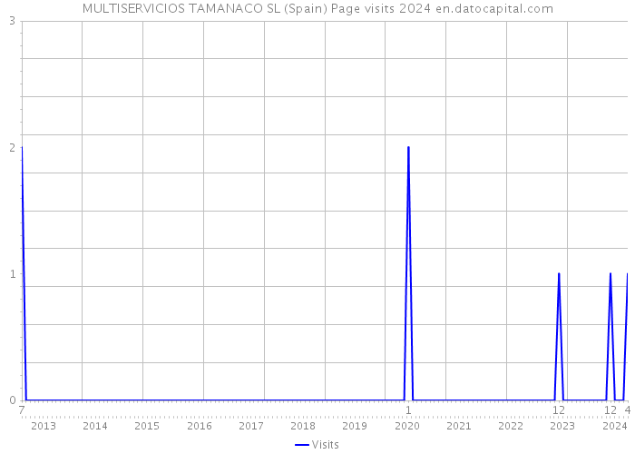 MULTISERVICIOS TAMANACO SL (Spain) Page visits 2024 