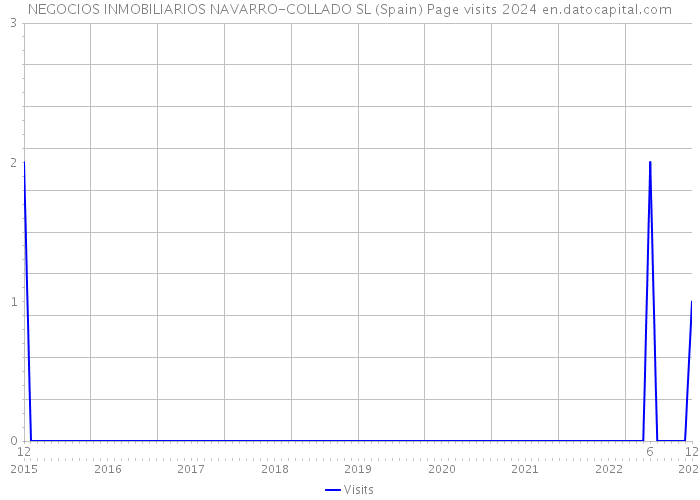 NEGOCIOS INMOBILIARIOS NAVARRO-COLLADO SL (Spain) Page visits 2024 