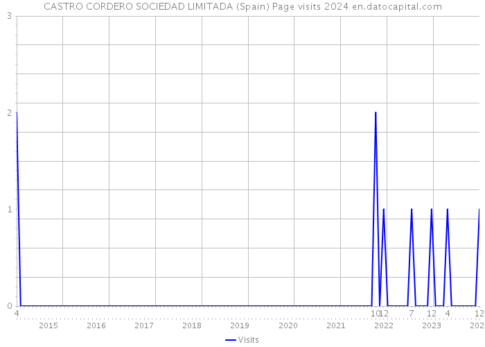 CASTRO CORDERO SOCIEDAD LIMITADA (Spain) Page visits 2024 