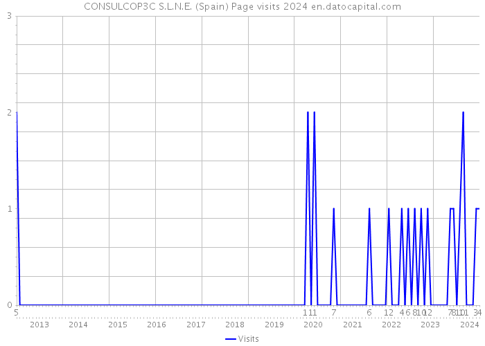 CONSULCOP3C S.L.N.E. (Spain) Page visits 2024 