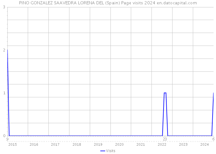 PINO GONZALEZ SAAVEDRA LORENA DEL (Spain) Page visits 2024 