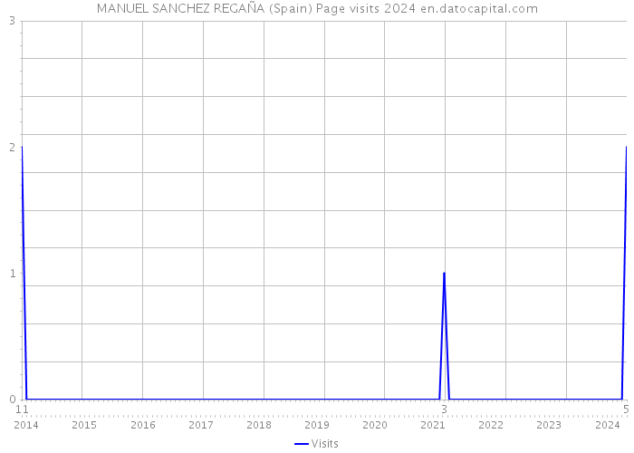 MANUEL SANCHEZ REGAÑA (Spain) Page visits 2024 