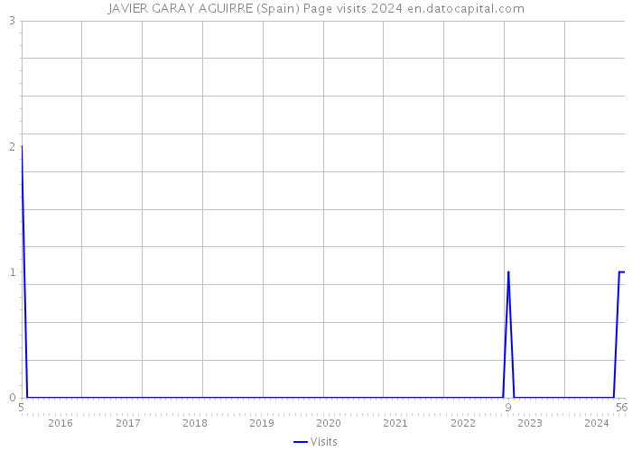 JAVIER GARAY AGUIRRE (Spain) Page visits 2024 