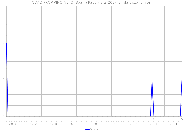 CDAD PROP PINO ALTO (Spain) Page visits 2024 