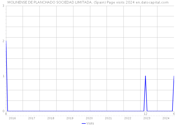 MOLINENSE DE PLANCHADO SOCIEDAD LIMITADA. (Spain) Page visits 2024 