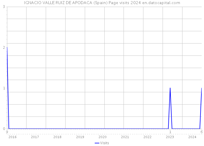 IGNACIO VALLE RUIZ DE APODACA (Spain) Page visits 2024 