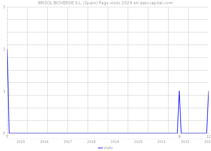 BRISOL BIOVERDE S.L. (Spain) Page visits 2024 